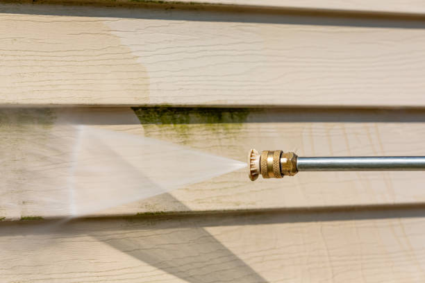 Best Exterior Home Cleaning  in Fort Thomas, KY